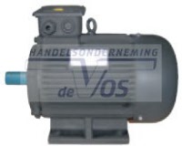 9900919